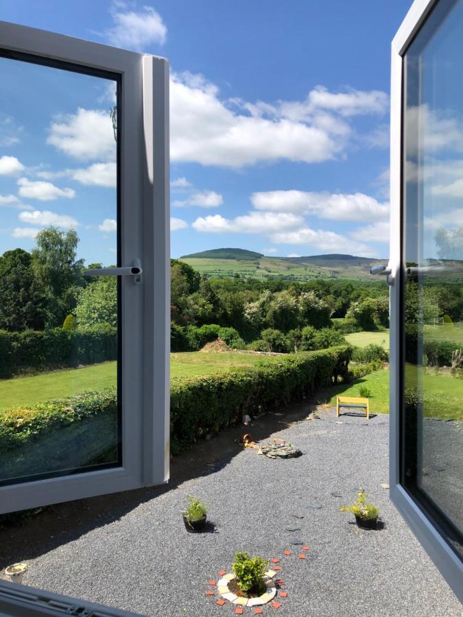 Mon Petit Cottage - B&B And House In Bunclody Extérieur photo