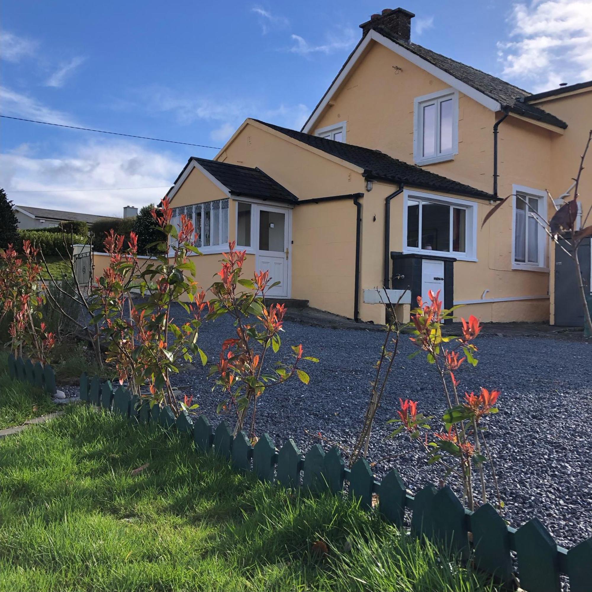 Mon Petit Cottage - B&B And House In Bunclody Extérieur photo